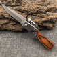 🔥🗡️【Taktisches Klappmesser】Premium Edelstahl (VG-10)Mit Glasbrecher & Seatbelt Cutter | Outdoor & EDC