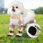 ⏳Begrenzte Zeit 50% Rabatt💥Staubdichte Outdoor-Hose für Hunde