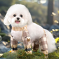 ⏳Begrenzte Zeit 50% Rabatt💥Staubdichte Outdoor-Hose für Hunde